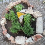 Herbstfest Essbare Stadt Jena