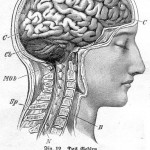 Vortrag: Kritik des GegenStandpunkts anhand seiner psychologischen Theorien