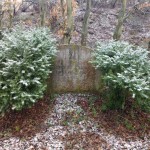 Wanderung in Gedenken an das KZ-Außenlager in Jena und die Opfer des Todesmarsches in Großlöbichau