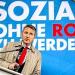 Neoliberalismus und AfD