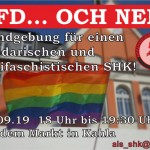 Kundgebung AfD Och nee