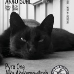 Konzert w/ Pyro One, Aika Akakomowitsch & Dr. Dosenbier