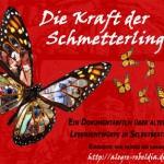 Die Kraft der Schmetterlinge - Teil 2