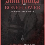 State Faults // Boneflower